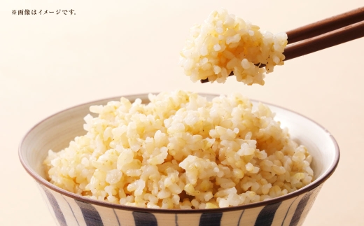 【 令和7年産 】 岡山県産 きぬむすめ 早炊き 玄米 10kg （ 2kg × 5袋 ） お米 米 こめ 白米 白飯 飯 ご飯 おにぎり ブランド米 ブランド 国産 コメ 洗米不要