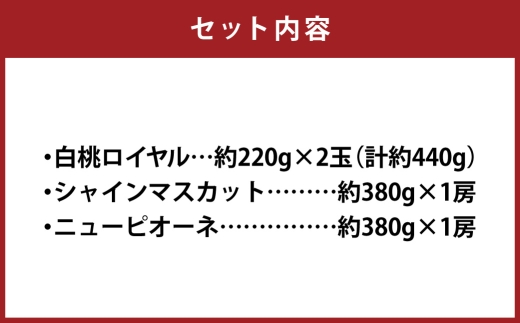 岡山白桃 ＆ 晴王 シャインマスカット ＆ ニューピオーネ セット小 桃 くだもの 果物 フルーツ 果実 もも モモ 白桃 葡萄 ブドウ ぶどう マスカット 【 2026年7月上旬～8月上旬発送予定 】