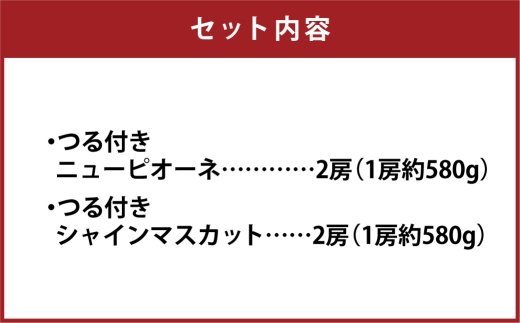 つる付き！ ニューピオーネ ＆ 晴王 シャインマスカット Dセット 露地栽培 ブドウ ぶどう 葡萄 果物 くだもの フルーツ 果実 マスカット 食べ比べ 【 2026年9月上旬～10月下旬発送予定 】