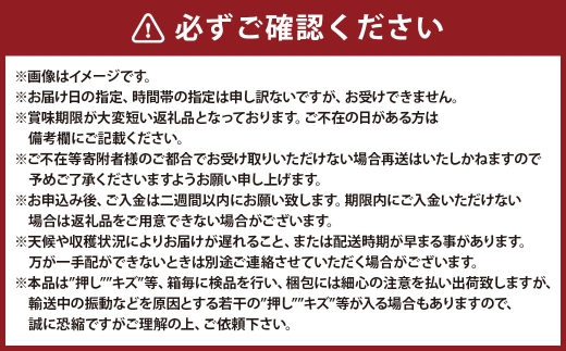 桃太郎ぶどう 2房 （ 合計約940g ） 化粧箱入り ぶどう ブドウ 葡萄 くだもの 果物 フルーツ 果実 果汁 果肉 種なし 皮ごと 国産 岡山県産 化粧箱 プレゼント ギフト 贈答品 贈り物 【 2026年8月上旬〜9月下旬迄順次発送予定 】