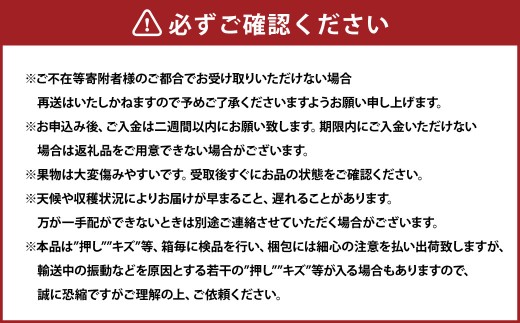 岡山県産 ニューピオーネ 2房 （1房480g以上） 約1kg 化粧箱入り 【2026年8月下旬-10月上旬迄発送予定】 ／ 葡萄 ぶどう 果物 果実 フルーツ 種なし 岡山県 美咲町 冷蔵