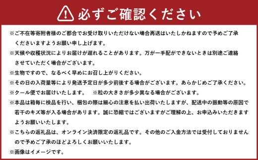 岡山県産 シャインマスカット 「 晴王 」 と ニューピオーネ 2Lサイズ 計約1kg ぶどう ブドウ 葡萄 くだもの 果物 果実 フルーツ 国産 マスカット 【 2026年8月下旬～9月下旬発送予定 】