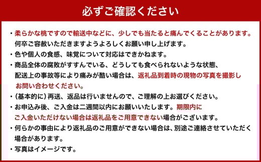 【 ご 家庭用 】 岡山 白桃 2種 2玉 500g  【 2026年7月上旬から9月上旬頃発送予定 】 ／ 果物 くだもの フルーツ もも 桃 甘い 香り 柔らかい ジューシー 美味しい 岡山県 美咲町