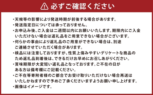岡山県産 黄金桃 6玉 （ 1玉 240g以上 ） 香り 甘味 酸味 完熟 果皮 くだもの 果物 果実 国産 果汁 糖度 果肉 フルーツ もも モモ 桃 黄金 【 2026年9月上旬～9月下旬発送予定 】