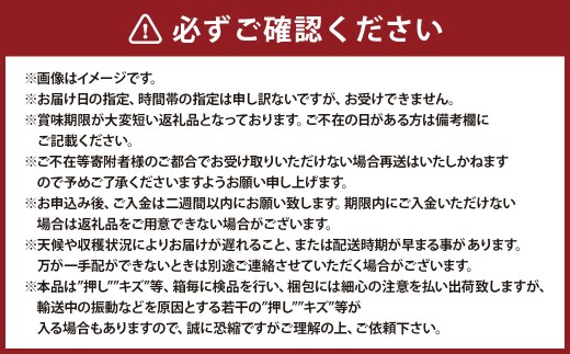 ニューピオーネ 2房 （ 1房 480g以上 ） 化粧箱入り ぶどう ブドウ 葡萄 フルーツ 果物 くだもの ギフト 贈答 プレゼント 国産 【 2026年8月下旬～10月上旬迄順次発送予定 】