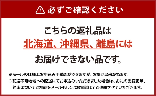 あたご梨 大玉 2玉 （ 1玉 950g以上 ） 梨 なし ナシ 贈答 くだもの 果物 果実 フルーツ あたご 贈答品 大玉梨 完熟 国産 岡山県産 【 2026年11月下旬～12月下旬発送予定 】
