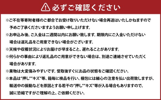 瀬戸ジャイアンツ 2房 （1房480g以上） 合計約1kg 化粧箱入り 【2026年9月上旬～10月上旬まで発送予定】 ／ マスカット 葡萄 ぶどう 果物 果実 フルーツ 皮ごと 岡山県 美咲町 冷蔵