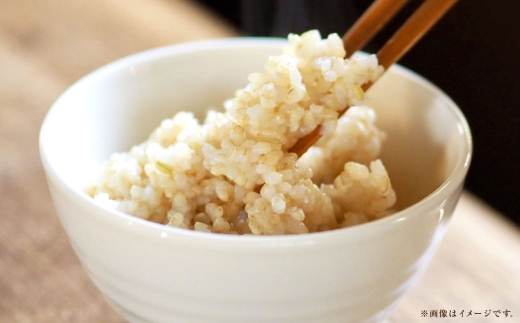 【 令和7年産 】 岡山県産 きぬむすめ 早炊き 玄米 10kg （ 2kg × 5袋 ） お米 米 こめ 白米 白飯 飯 ご飯 おにぎり ブランド米 ブランド 国産 コメ 洗米不要