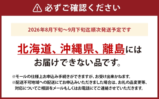 ニューピオーネ 2房 （ 合計約1.1kg ） 化粧箱入り ぶどう ブドウ 葡萄 くだもの 果物 フルーツ 果実 果汁 果肉 国産 岡山県産 化粧箱 プレゼント ギフト 贈答品 贈り物 【 2026年8月下旬〜9月下旬迄順次発送予定 】