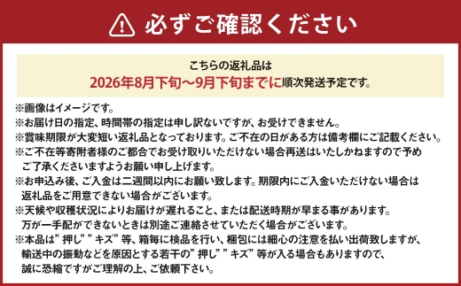 オーロラブラック 2房 （ 合計約1.1kg ） 化粧箱入り ぶどう ブドウ 葡萄 くだもの 果物 フルーツ 果実 果汁 果肉 国産 岡山県産 化粧箱 プレゼント ギフト 贈答品 贈り物 【 2026年8月下旬〜9月下旬迄順次発送予定 】