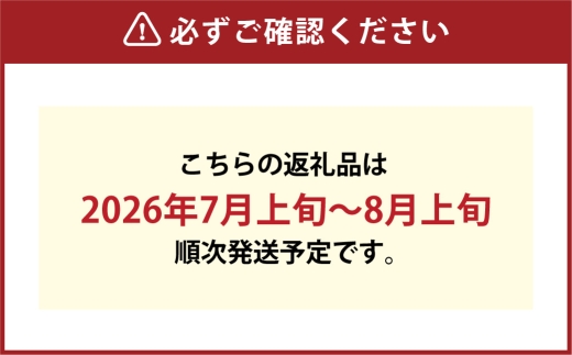岡山白桃&シャインマスカット セット中 詰め合わせ 白桃 シャインマスカット 桃 もも モモ ぶどう 葡萄 ブドウ マスカット 贈り物 贈答 くだもの 果物 フルーツ 果実 【 2026年7月上旬～8月上旬発送予定 】