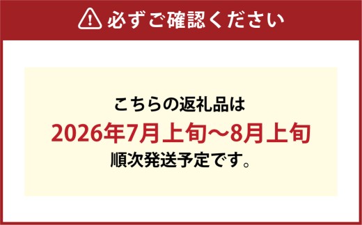 岡山白桃&シャインマスカット セット大 詰め合わせ 白桃 シャインマスカット 桃 もも モモ ぶどう 葡萄 ブドウ マスカット 贈り物 贈答 くだもの 果物 フルーツ 果実 【 2026年7月上旬～8月上旬発送予定 】