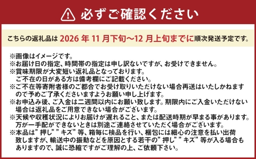 あたご梨 3 〜 6玉 （ 合計約4.0kg ） 青秀以上 化粧箱入り 梨 なし ナシ くだもの 果物 フルーツ 果実 果汁 国産 岡山県産 化粧箱 ギフト プレゼント 贈答品 贈り物 【 2026年11月下旬〜12月上旬迄順次発送予定 】
