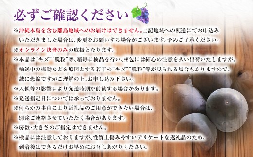 ニューピオーネ（良） 2kg ぶどう 葡萄 フルーツ 果物 岡山県 岡山県産 2026年 先行予約 【2026年8月下旬-9月下旬発送予定】