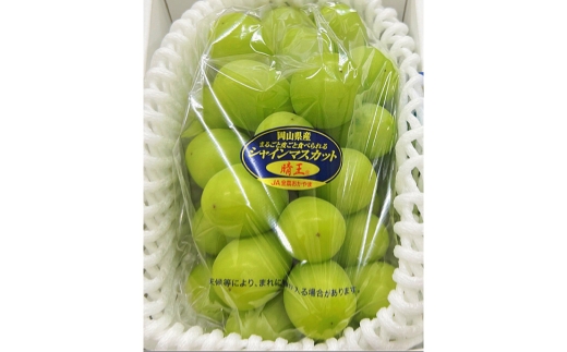 シャインマスカット 晴王 1房 （ 約670g以上 ） 化粧箱入り ぶどう ブドウ 葡萄 マスカット くだもの 果物 フルーツ 果実 果汁 果肉 種なし 皮ごと 国産 岡山県産 化粧箱 プレゼント ギフト 贈答品 贈り物 【 2026年8月下旬〜10月下旬迄順次発送予定 】
