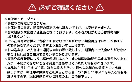 シャインマスカット 晴王 3～5房 （ 約2kg ） マスカット ぶどう ブドウ 葡萄 フルーツ 果物 くだもの 岡山県産 国産 【 2026年8月下旬～11月上旬迄順次発送予定 】