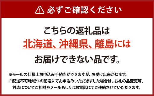 つる付きニューピオーネ 2房 （ 1房 540g以上 ） ハウス栽培 ニューピオーネ つる付き 果物 くだもの 果実 フルーツ 葡萄 ぶどう ブドウ 【 2026年7月上旬～8月下旬発送予定 】