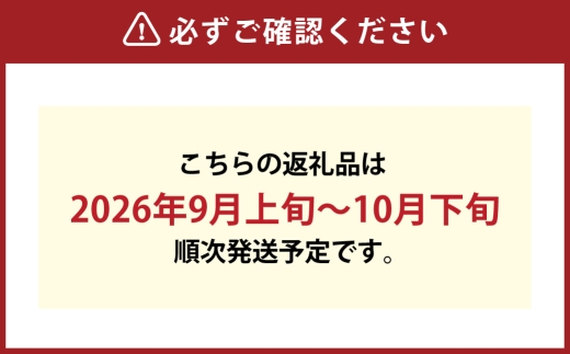 つる付き！ ニューピオーネ ＆ 晴王 シャインマスカット Aセット 露地栽培 ブドウ ぶどう 葡萄 果物 くだもの フルーツ 果実 マスカット 食べ比べ 【 2026年9月上旬～10月下旬発送予定 】