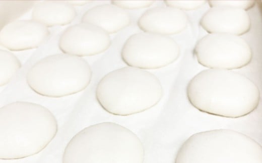 杵つき丸白餅 50g×10個入り 2袋 岡山県美咲町産 ／ 計約1kg 計20個 丸白餅  【6月-9月発送不可】