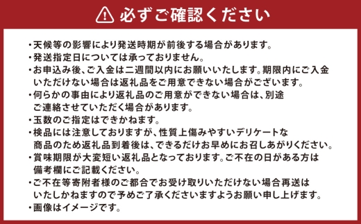 あたご梨 約4kg （ 3 ～ 6玉 ） 梨 なし ナシ くだもの 果物 果実 フルーツ あたご 贈答 贈答品 完熟 国産 岡山県産 【 2026年11月下旬～12月下旬発送予定 】