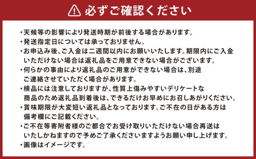 訳あり 晴王 つる付きシャインマスカット 3房 （ 1房 530g以上 ） 露地栽培 シャインマスカット マスカット つる付き 果実 くだもの 果物 フルーツ ぶどう 葡萄 果汁 【 2026年9月上旬～10月下旬発送予定 】
