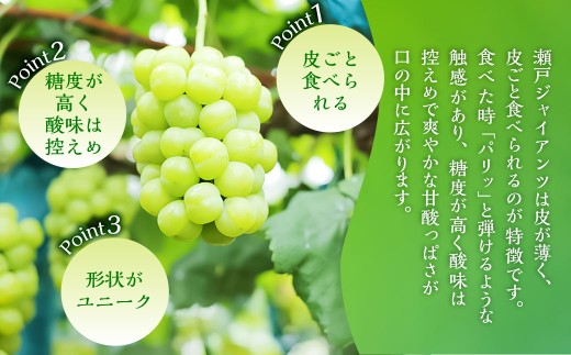 瀬戸ジャイアンツ 2房 （1房480g以上） 合計約1kg 化粧箱入り 【2026年9月上旬～10月上旬まで発送予定】 ／ マスカット 葡萄 ぶどう 果物 果実 フルーツ 皮ごと 岡山県 美咲町 冷蔵