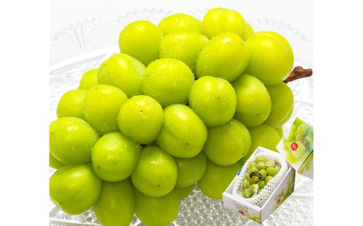 岡山県産 シャインマスカット『晴王』1房 （700g以上） 化粧箱入り 【2026年8月下旬-10月上旬迄発送予定】／ マスカット 葡萄 ぶどう 果物 果実 フルーツ 岡山県 美咲町 冷蔵