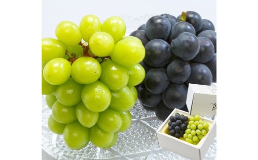 岡山県産 ぶどう詰合 ／ ニューピオーネ 1房 ・ シャインマスカット 晴王 1房 （各480g以上） 化粧箱入り 【2026年8月下旬-10月上旬迄発送予定】 ／ 葡萄 ぶどう マスカット 果物 果実 フルーツ 詰め合わせ 詰合せ 岡山県 美咲町 冷蔵