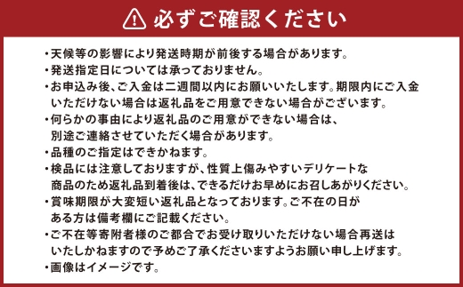 岡山白桃 （ 中世 ） 7玉 （ 1玉 260g以上 ） 白桃 食感 くだもの 果物 果実 国産 岡山県産 果汁 果肉 フルーツ もも モモ 桃 果皮 糖度 有袋栽培 【 2026年7月上旬～8月下旬発送予定 】