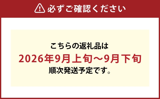 岡山県産 黄金桃 6玉 （ 1玉 240g以上 ） 香り 甘味 酸味 完熟 果皮 くだもの 果物 果実 国産 果汁 糖度 果肉 フルーツ もも モモ 桃 黄金 【 2026年9月上旬～9月下旬発送予定 】