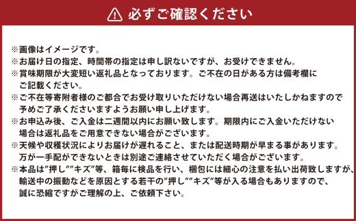 【 全2回定期便 】 晴れの国岡山のシャインマスカット晴王 各回1房 （ 約600g以上 ） 化粧箱入り ぶどう ブドウ 葡萄 マスカット くだもの 果物 フルーツ 果実 果汁 果肉 種なし 皮ごと 国産 岡山県産 化粧箱 プレゼント ギフト 贈答品 贈り物 定期 定期配送 【 2026年9月より発送開始 】