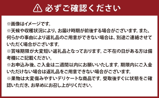 【全3回定期便】 岡山県産 フルーツ定期便 ＜お一人様向け＞ 【2026年7月上旬～9月下旬迄発送予定】 白桃 ピオーネ シャインマスカット 瀬戸内 果物 くだもの フルーツ ぶどう もも ブドウ モモ 葡萄 桃 岡山白桃 ニューピオーネ 晴王 化粧箱 贈り物 贈答用 ギフト プレゼント 定期 定期便 果実 定期配送