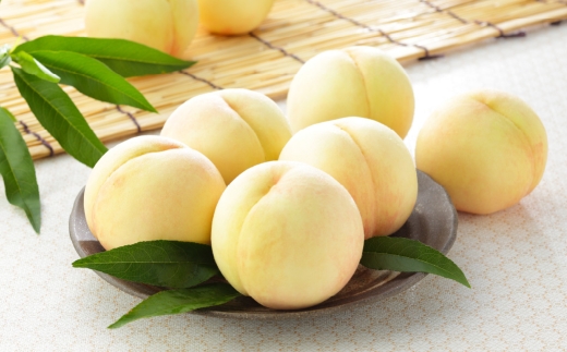 岡山白桃 ロイヤル 4～8玉 約1.2kg 岡山県産 白桃 桃 もも モモ くだもの 果物 果実 フルーツ 国産 ギフト 贈り物 【 2026年7月上旬～8月下旬発送予定 】