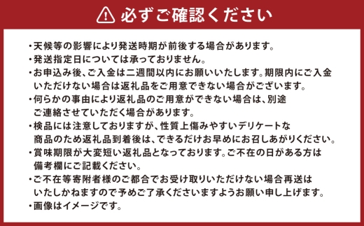 つる付き！ ニューピオーネ ＆ 晴王 シャインマスカット Dセット 露地栽培 ブドウ ぶどう 葡萄 果物 くだもの フルーツ 果実 マスカット 食べ比べ 【 2026年9月上旬～10月下旬発送予定 】