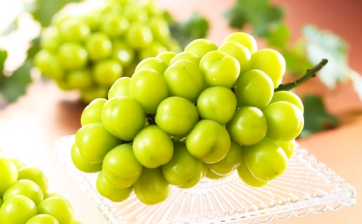 ご家庭用 岡山県産 シャインマスカット 晴王 約2kg （ 3房～6房 ） ぶどう ブドウ 葡萄 マスカット 果物 くだもの フルーツ 国産 【 2026年8月下旬～11月下旬発送予定 】