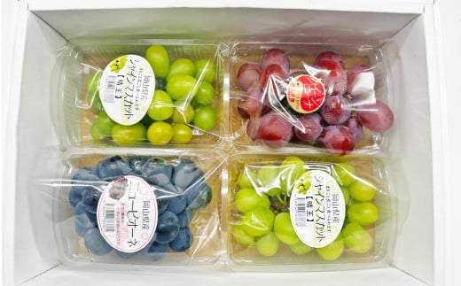 岡山県産 ぶどうパック詰合せ ※3種4パックセット （ ニューピオーネ ・ シャインマスカット ・ 旬のぶどう ） 【2026年9月上旬～10月下旬発送予定】 ／ ぶどう ブドウ 葡萄 種なし 種無し ピオーネ マスカット 晴王 はるお 旬の葡萄 フルーツ 果物 くだもの 果実