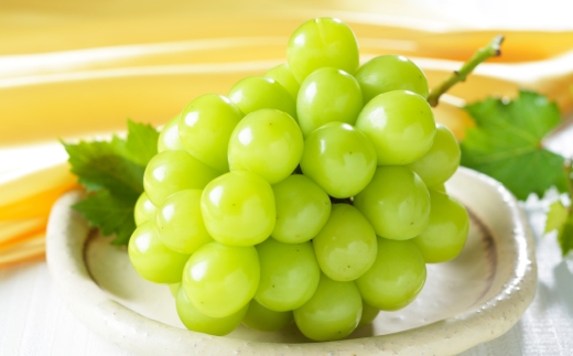 岡山県産 シャインマスカット 晴王 約1.2kg （ 600g×2房 ） ぶどう ブドウ 葡萄 マスカット 果物 くだもの フルーツ 国産 【 2026年8月下旬～11月下旬発送予定 】