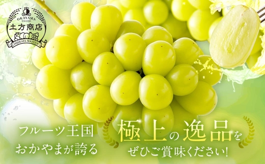 シャインマスカット 晴王 秀品 大房 2 ～ 5房 約2kg マスカット ぶどう ブドウ 葡萄 果物 くだもの フルーツ 果実 果汁 果肉 旬 種なし 皮ごと 大粒 冷蔵 国産 岡山県産 【 2026年8月上旬から11月下旬迄発送 】