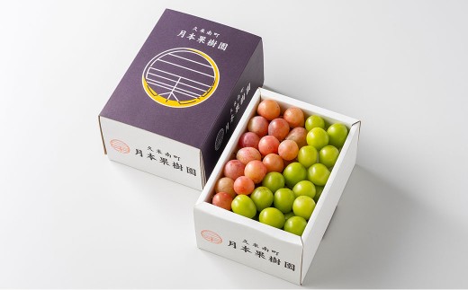 【 ご家庭用 】 岡山県産 摘み落としぶどう 農家セレクト 2種 詰め合わせ 約1kg ブドウ フルーツ 果物 くだもの 果実 おやつ デザート スイーツ 詰合せ 詰め合わせ セット 【 2026年8月下旬～10月下旬迄発送予定 】