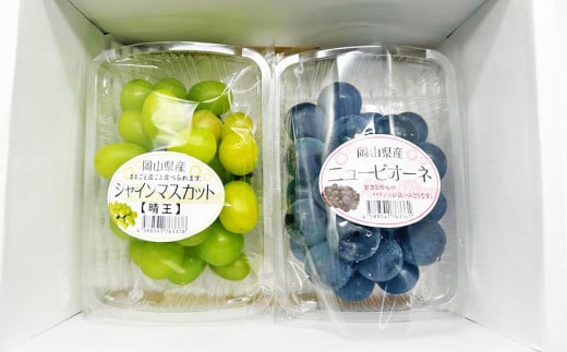 岡山県産 ぶどうパック詰合せ ※2種2パックセット （ ニューピオーネ ・ シャインマスカット ）【2026年9月上旬～10月下旬発送予定】 ／ ぶどう ブドウ 葡萄 種なし 種無し ピオーネ マスカット 晴王 はるお フルーツ 果物 くだもの 果実