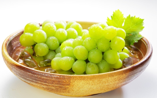 岡山県産 マスカット・オブ・アレキサンドリア 約800g （ 400g×2房 ） ぶどう ブドウ 葡萄 くだもの 果物 果実 フルーツ 国産 マスカット 【 2026年8月下旬～9月下旬発送予定 】