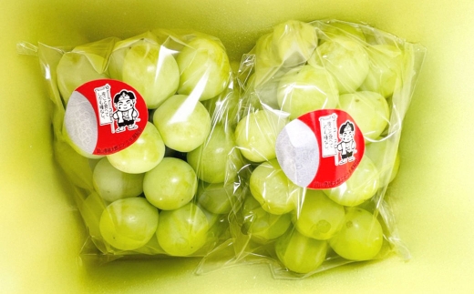 桃太郎ぶどう 2房 （ 合計約940g ） 化粧箱入り ぶどう ブドウ 葡萄 くだもの 果物 フルーツ 果実 果汁 果肉 種なし 皮ごと 国産 岡山県産 化粧箱 プレゼント ギフト 贈答品 贈り物 【 2026年8月上旬〜9月下旬迄順次発送予定 】