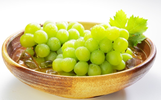 岡山県産 マスカット・オブ・アレキサンドリア 約1kg （ 500g×2房 ） ぶどう ブドウ 葡萄 くだもの 果物 果実 フルーツ 国産 マスカット 【 2026年8月下旬～9月下旬発送予定 】