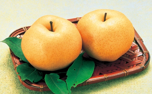 あたご梨 2玉 （ 合計約1.4kg ） 青秀以上 化粧箱入り 梨 なし ナシ くだもの 果物 フルーツ 果実 果汁 国産 岡山県産 化粧箱 ギフト プレゼント 贈答品 贈り物 【 2026年11月下旬〜12月上旬迄順次発送予定 】