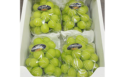 シャインマスカット 晴王 4房（1房480g以上）【2026年8月下旬～10月下旬まで発送予定】 ／ マスカット 葡萄 ぶどう 果物 果実 フルーツ 種なし 皮ごと 大粒 岡山県 美咲町 冷蔵