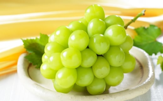 岡山県産 岡山白桃 エース 2Lサイズ 約250g×2玉・ シャインマスカット 晴王 約500g×1房 詰合せ 白桃 モモ もも 桃 ぶどう ブドウ 葡萄 マスカット くだもの 果物 果実 フルーツ 国産 家庭用 ギフト 贈り物 贈答 【 2026年7月上旬～8月下旬発送予定 】