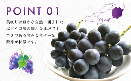 ニューピオーネ（良） 2kg ぶどう 葡萄 フルーツ 果物 岡山県 岡山県産 2026年 先行予約 【2026年8月下旬-9月下旬発送予定】