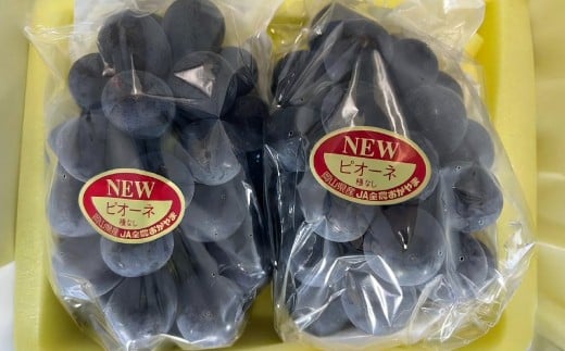 岡山県産 ニューピオーネ 2房 （1房480g以上） 約1kg 化粧箱入り 【2026年8月下旬-10月上旬迄発送予定】 ／ 葡萄 ぶどう 果物 果実 フルーツ 種なし 岡山県 美咲町 冷蔵