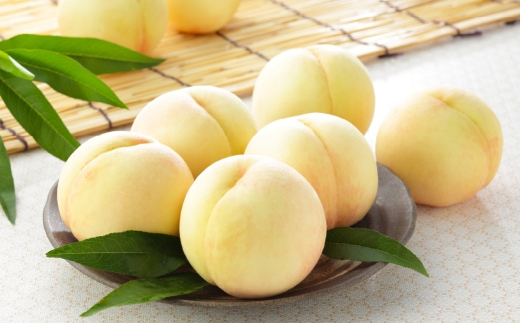 岡山県産 岡山白桃 エース 2Lサイズ 約250g×2玉・ シャインマスカット 晴王 約500g×1房 詰合せ 白桃 モモ もも 桃 ぶどう ブドウ 葡萄 マスカット くだもの 果物 果実 フルーツ 国産 家庭用 ギフト 贈り物 贈答 【 2026年7月上旬～8月下旬発送予定 】