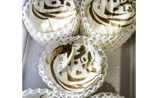 新高 梨 3～6玉 （約4kg） 化粧箱入り【2026年9月下旬～11月上旬迄発送予定】 ／ なし 和梨 果物 果実 フルーツ 大玉 岡山県 美咲町 常温